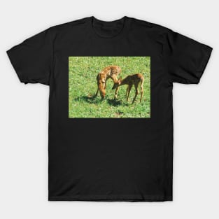 Little Fawns in the Sun T-Shirt